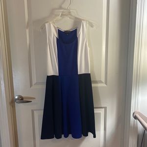 Like New The Limited Colorblocked Fit & Flare Dress